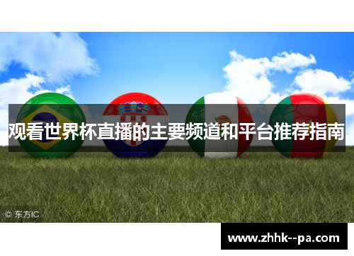 观看世界杯直播的主要频道和平台推荐指南