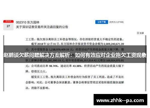 赵鹏谈欠薪问题解决方案解析：如何有效应对企业拖欠工资现象